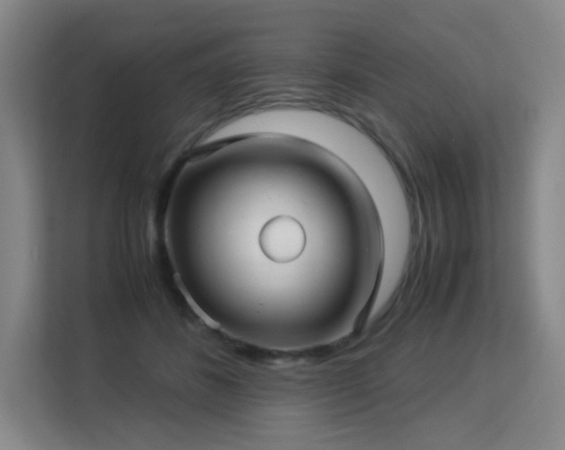 X0000113150508200909110957