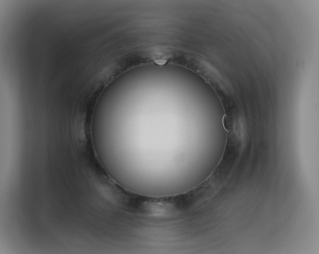 X0000113150512200909110957