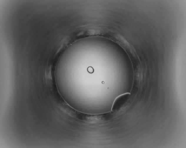 X0000113150516200909110957