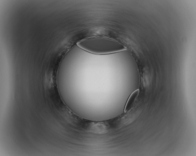 X0000113150520200909110956