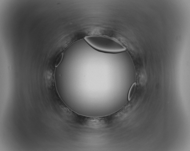 X0000113150521200909110956