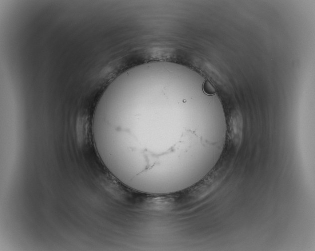 X0000113150522200909110956