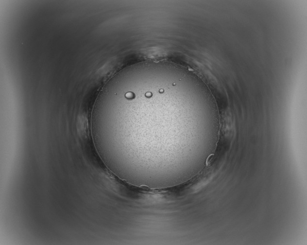 X0000113150523200909110956