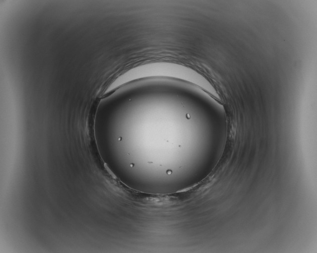 X0000113150524200909110956