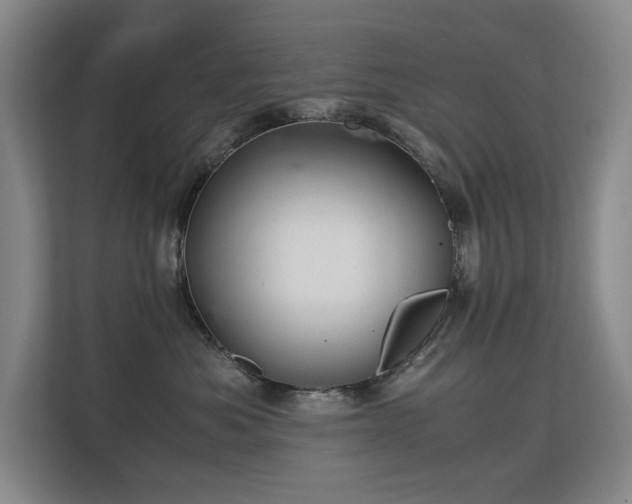 X0000113150525200909110956