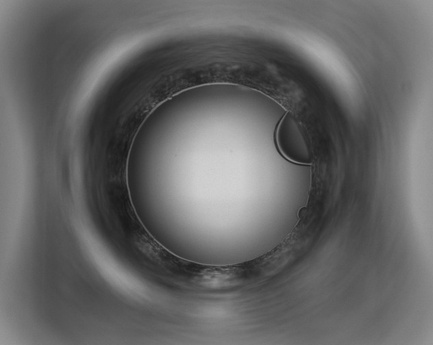 X0000113150526200909110956