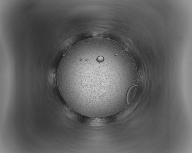 X0000113150527200909110956