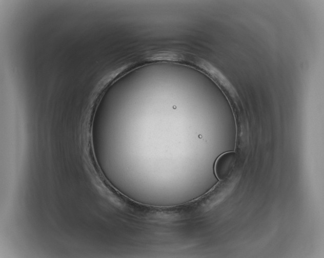 X0000113150529200909110956