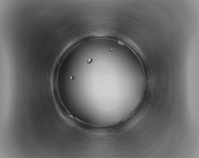 X0000113150530200909110956