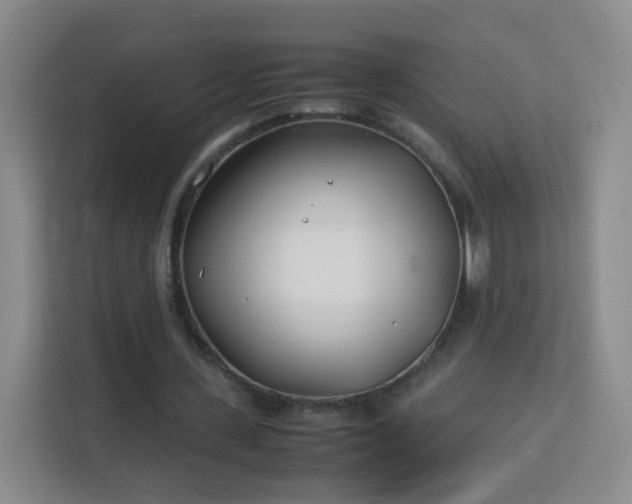 X0000113150531200909110956