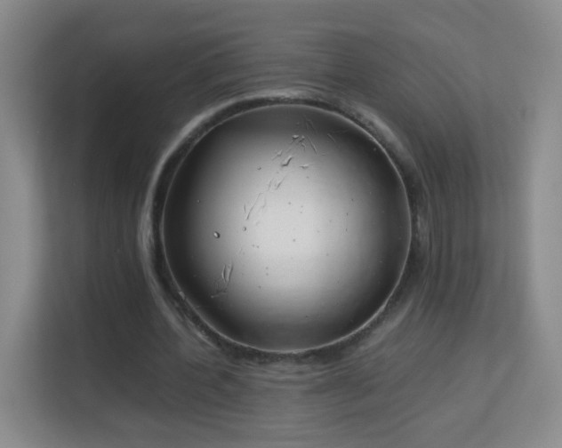 X0000113150532200909110956