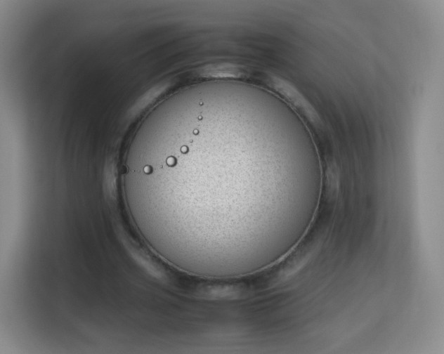 X0000113150533200909110956