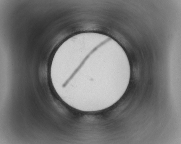 X0000113150534200909110956