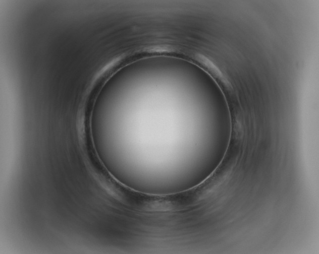 X0000113150535200909110956