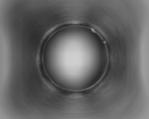 X0000113150536200909110956