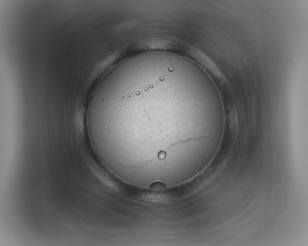 X0000113150537200909110956