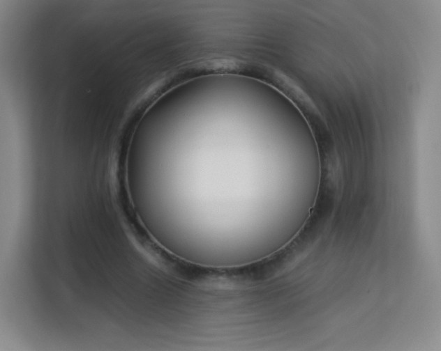 X0000113150538200909110956