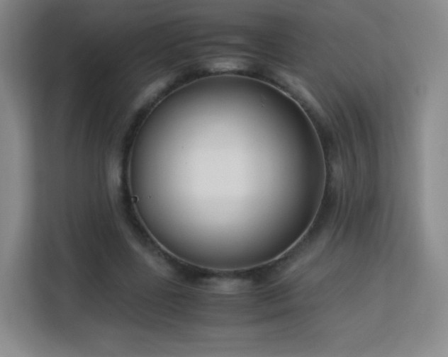 X0000113150539200909110956