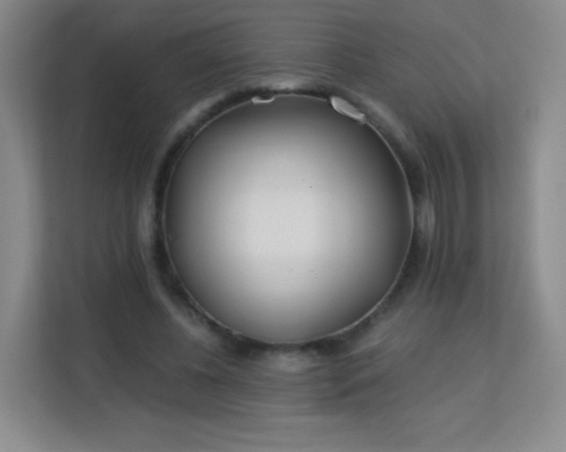 X0000113150540200909110956