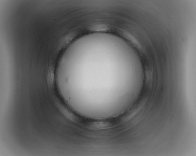 X0000113150541200909110956