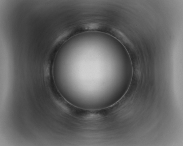 X0000113150543200909110956