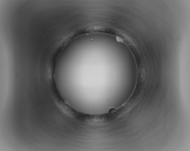 X0000113150546200909110956