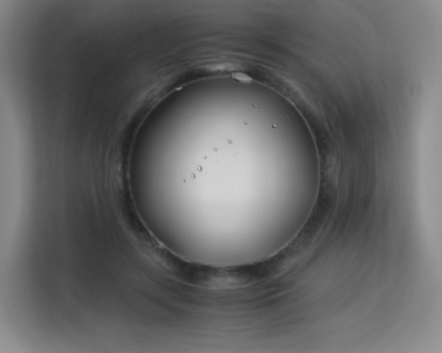 X0000113150547200909110956