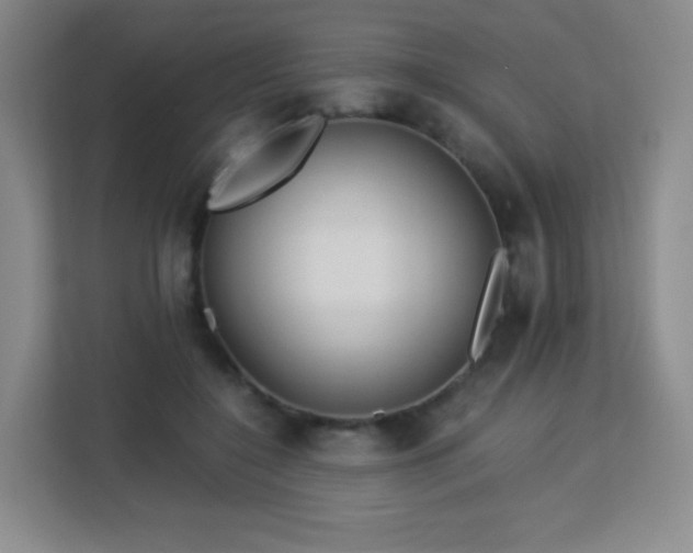 X0000113150548200909110956