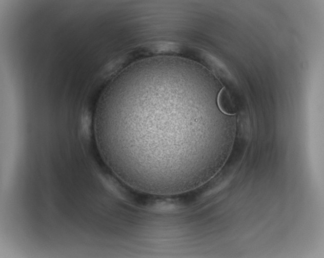 X0000113150550200909110956