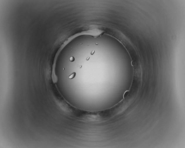 X0000113150552200909110956