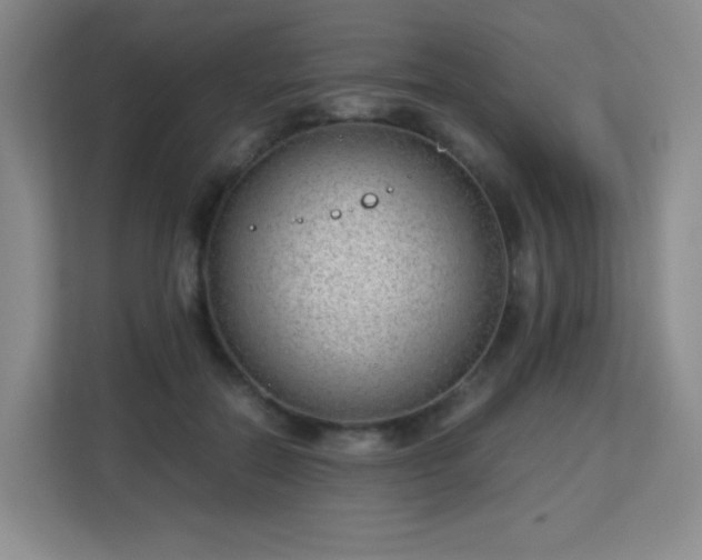 X0000113150554200909110956