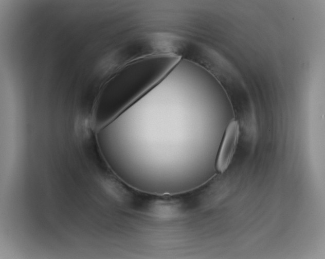 X0000113150556200909110956