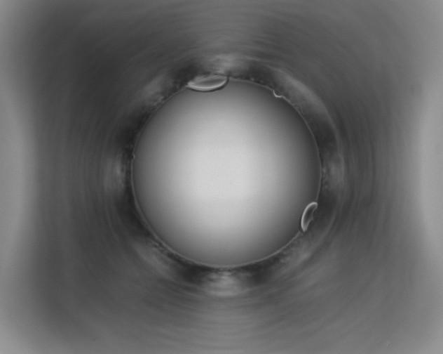 X0000113150558200909110956