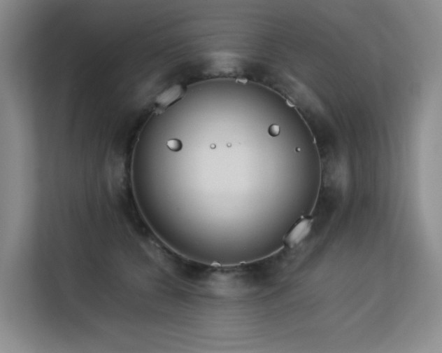 X0000113150560200909110956