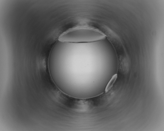 X0000113150562200909110956