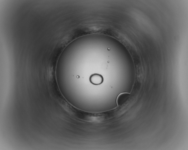 X0000113150563200909110956