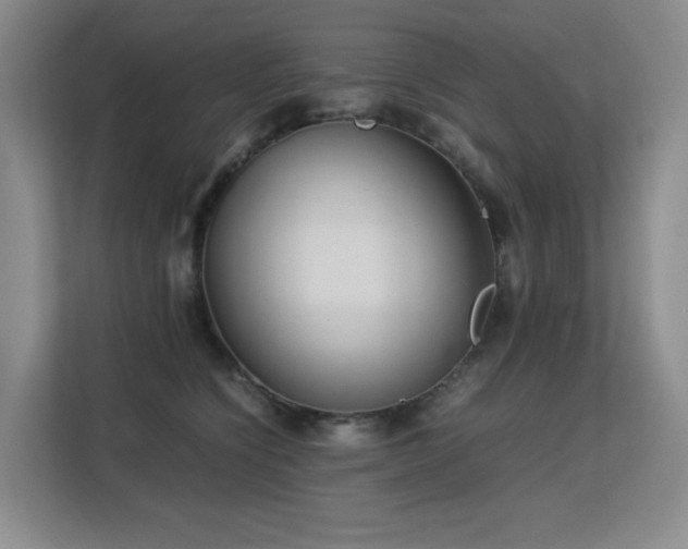 X0000113150564200909110956