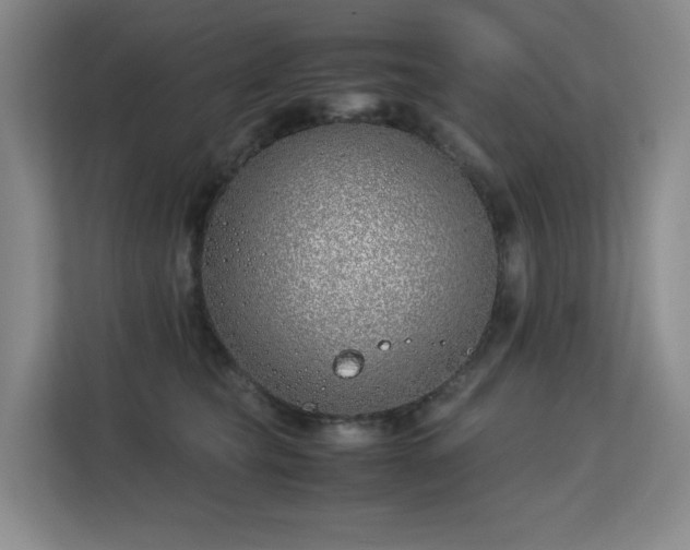 X0000113150565200909110956