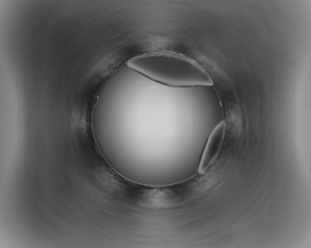 X0000113150566200909110956