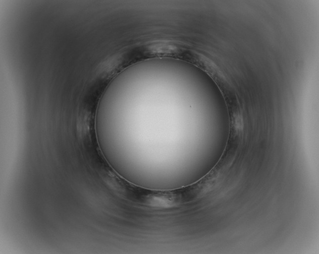 X0000113150567200909110956