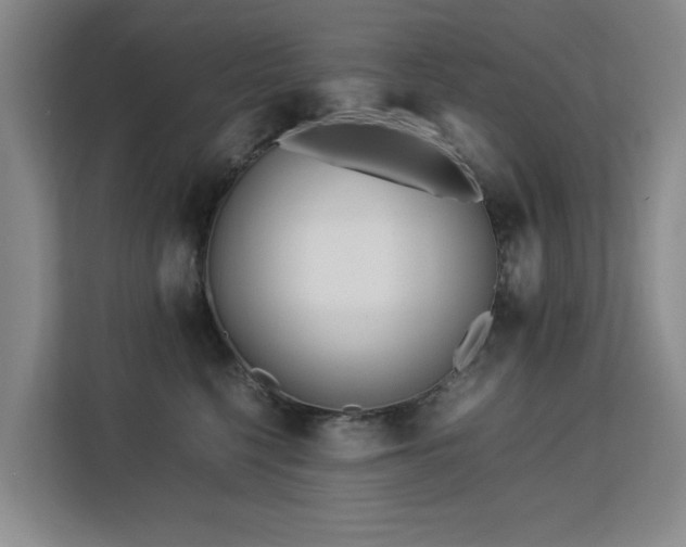 X0000113150568200909110956