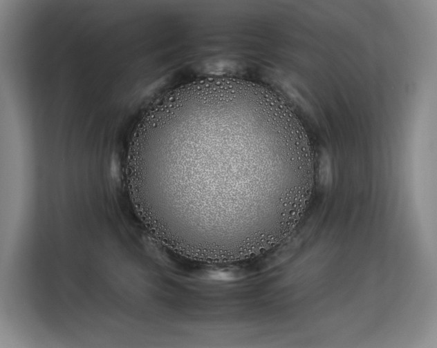 X0000113150569200909110956