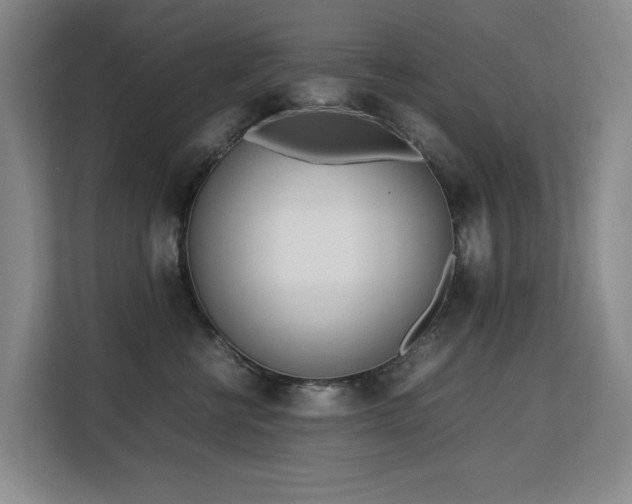 X0000113150570200909110956