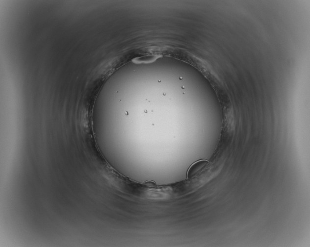 X0000113150571200909110956