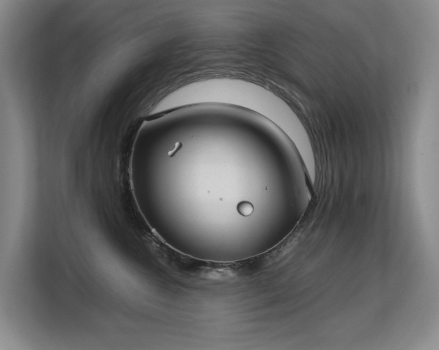 X0000113150572200909110956