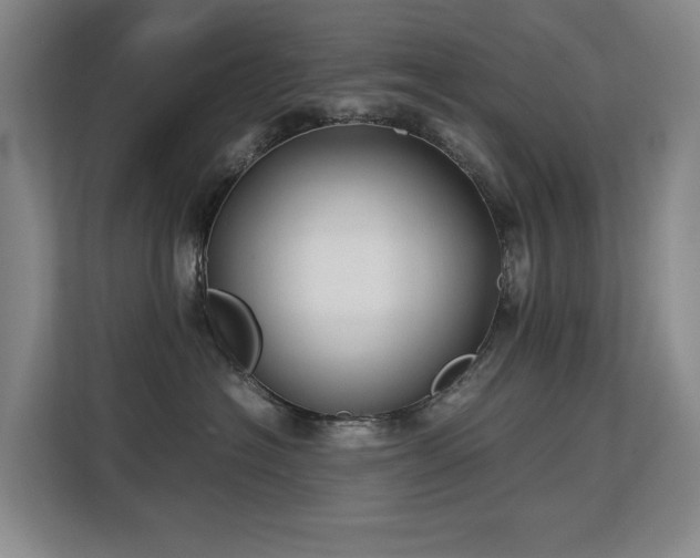 X0000113150574200909110956