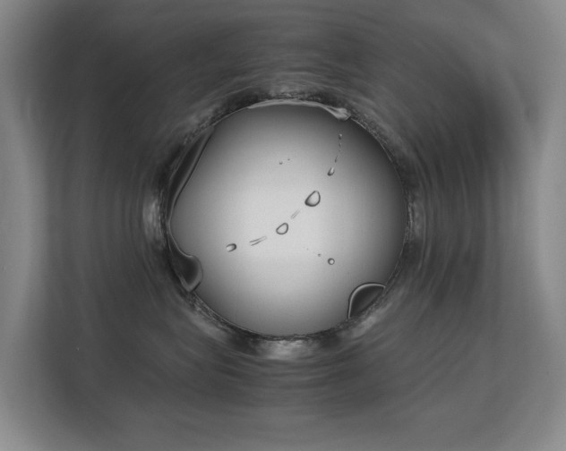 X0000113150575200909110956