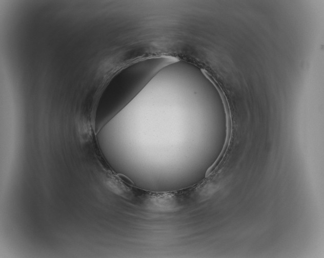 X0000113150576200909110956