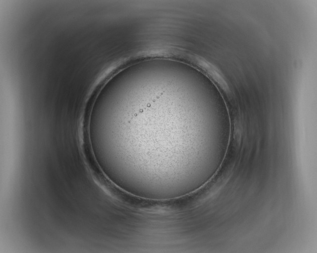 X0000113150578200909110956