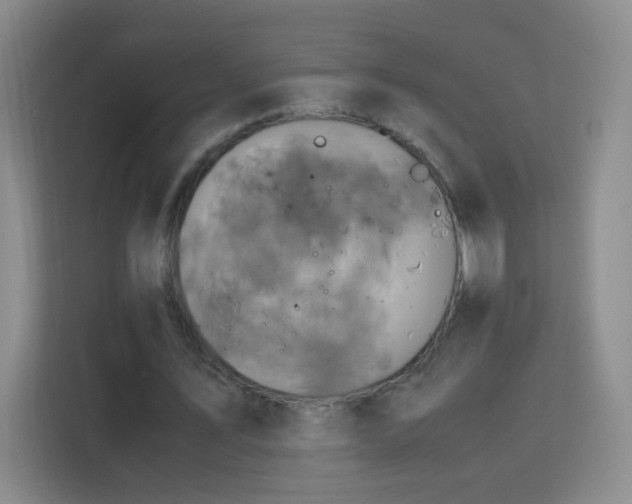 X0000113150579200909110956